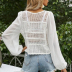 Crochet Knitted Hollow Butterfly Puff Sleeve Long Sleeve Shirt NSSUO59176