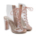 fashion lace-up clear heeled boots NSSO59608