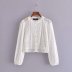 solid color long-sleeved hollow embroidered single breasted shirt  NSAM54636