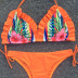 Printed Ruffled new summer Bikini NSLUT55530