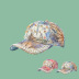 Pearl Floral Cloth Baseball Cap NSTQ55490