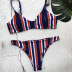 sexy striped color matching split swimsuit NSLUT55609