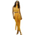 solid color sleeveless high waist pleated casual long skirt set NSHLJ63229