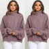 Pullover Turtleneck Loose Warm Multicolor Sweater NSJRM64644