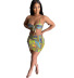New Summer Sexy Print Lace Two-piece Dress NSYC64653