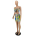 New Summer Sexy Print Lace Two-piece Dress NSYC64653