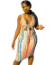 Summer Striped Tie Printed Tight Dress NSYC64675