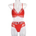 Mesh Lace Embroidery Red Sexy Lingerie NSWY69063