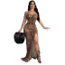 Leopard Print Tie Wrap Breast Dress NSALI65793
