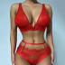 Lace V-Neck Sexy Underwear Suit NSWY73476