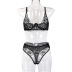 women s lace embroidery v-neck perspective underwear set nihaostyles clothing wholesale NSWY73502