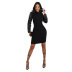 Long Sleeve Sequin Bodycon Dress NSYDF73625