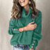 Solid Color Turtleneck Sweater NSBTY74089