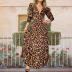 Leopard Print Cut Out Long Sleeve Slim Dress NSHHF75788