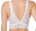 Solid Color Hollow Lace Bra NSFQQ79298