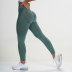 Seamless Knitted High Elasticity Yoga Leggings NSXER80836