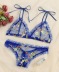 Mesh Lace Embroidery Straps Underwear Set NSFQQ78114
