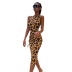 see-through leopard print halter mid-length dress NSSYV109656