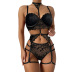 Lace See-Through Four-Piece Sexy Lingerie Set Multicolors NSYCX109739