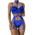 Lace See-Through Four-Piece Sexy Lingerie Set Multicolors NSYCX109739