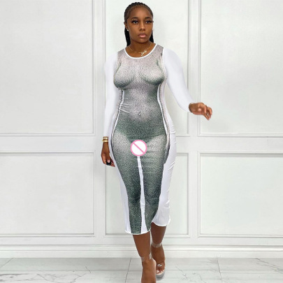 3D Body Print Round Neck Long Sleeve Slim Dress NSDLS109757