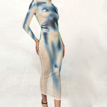 See-through Mesh Printing Long-sleeved Slim Dress NSDLS109793