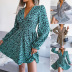 Long Sleeve V Neck Waist-Slim Leopard Print Dress NSBJ112124