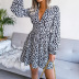 long sleeve v neck waist-slim leopard print dress NSBJ112124