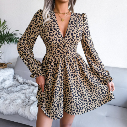 Long Sleeve V Neck Waist-slim Leopard Print Dress NSBJ112124