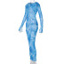 Hooded Long Sleeve Slim See-Through Mesh Print Dress NSHTL112754