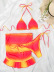 Printed Lace Up Bikini High Waist Skirt Three-Piece Swimwear NSFPP113758