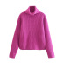 High Neck Long Sleeve Solid Color Knitted Sweater NSXFL114025