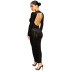 Long Sleeve Backless Round Neck Slim Houndstooth Print Dress NSKKB114288