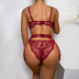 Stitching Steel Ring Solid Color Lace See-Through Sexy Lingerie Three-Piece Set NSMXF114553