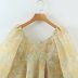 Organza Long Sleeve Floral Print Princess Dress NSAM110443