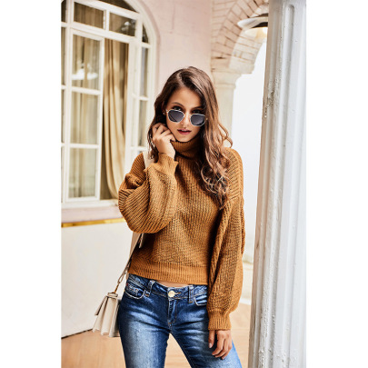 Solid Color High-neck Long-sleeved Sweater NSHNF137564