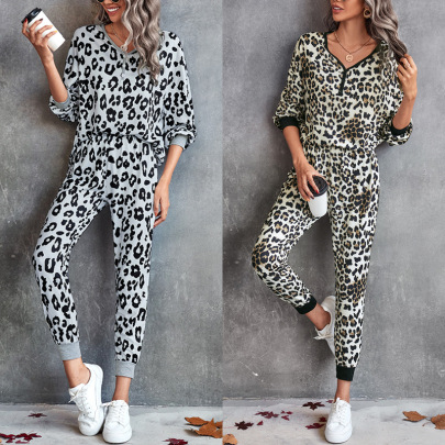 Leopard Print V-neck Long-sleeved Top And Slim Crop Pants Set NSLNZ137710