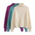 solid color turtleneck long sleeve pullover sweate NSAM138893
