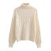 solid color turtleneck long sleeve pullover sweate NSAM138893