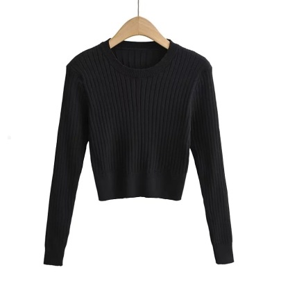 Solid Color Round Neck Long-sleeved Pullover Sweater NSAM138922