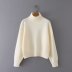 solid color high-necked long-sleeved pullover slim-fit knitted sweater NSAM139077