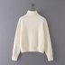 solid color high-necked long-sleeved pullover slim-fit knitted sweater NSAM139077