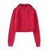 POLO collar long sleeve casual solid color sweater NSYXB139215