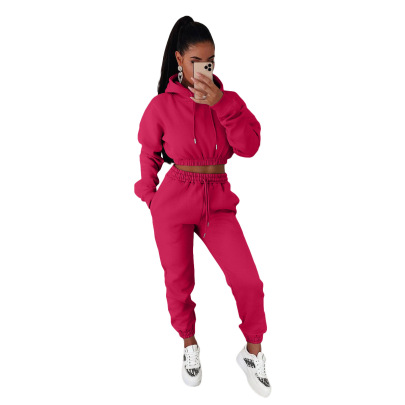 Casual Hooded Long Sleeve Solid Color Fleece Sweatshirt And Pant Two-piece Suit NSLML139346