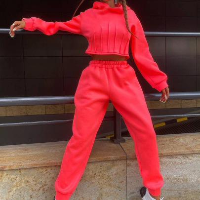 Casual Hooded High Waist Long Sleeve Solid Color Sweatshirt And Trousers Two-piece Set NSONF139709