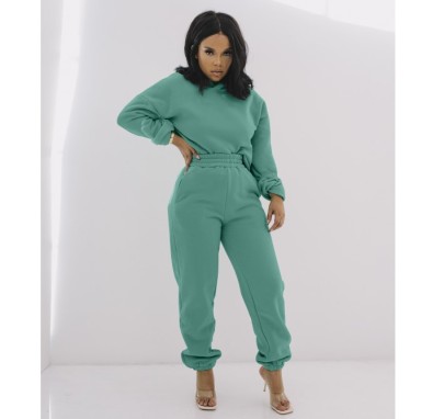 Casual Hooded Long Sleeve High Waist Solid Color Top And Pant Two-piece Set NSLML139661