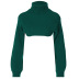 Slim Short Long-sleeved high neck solid color Sweater NSHTL139798