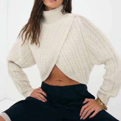 Short High-neck Long Sleeve Solid Color Sweater NSXDX139438