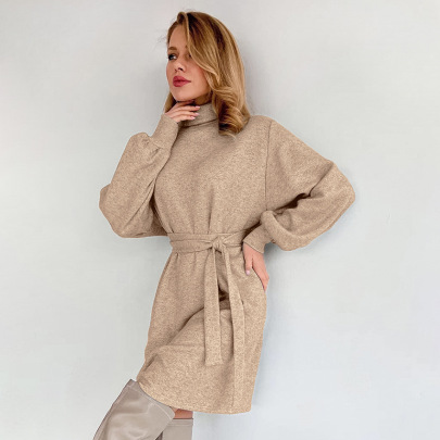 Turtleneck Long Sleeve Casual Solid Color Dress NSSQS139517