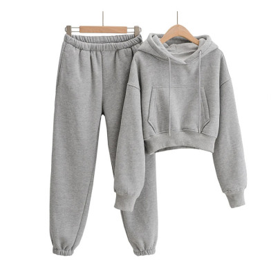 Fleece Casual Solid Color Pullover Sweatshirt Elastic Sweatpants Set NSZQW115396
